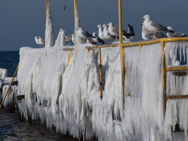 Ustka en invierno — foto 14
