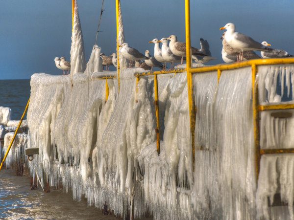 Ustka en invierno — foto 17