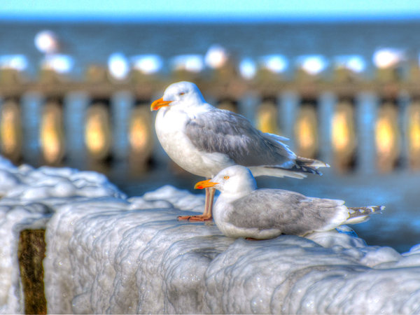Ustka en invierno — foto 18